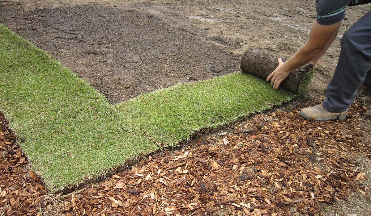 как сделать газон без сорняков пошаговая инструкция